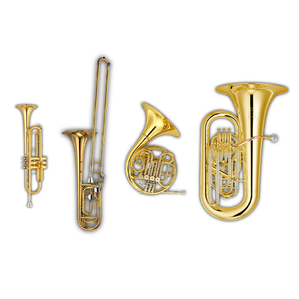Sample Modeling - Brass Bundle 6 Sqrd Brass Bundle