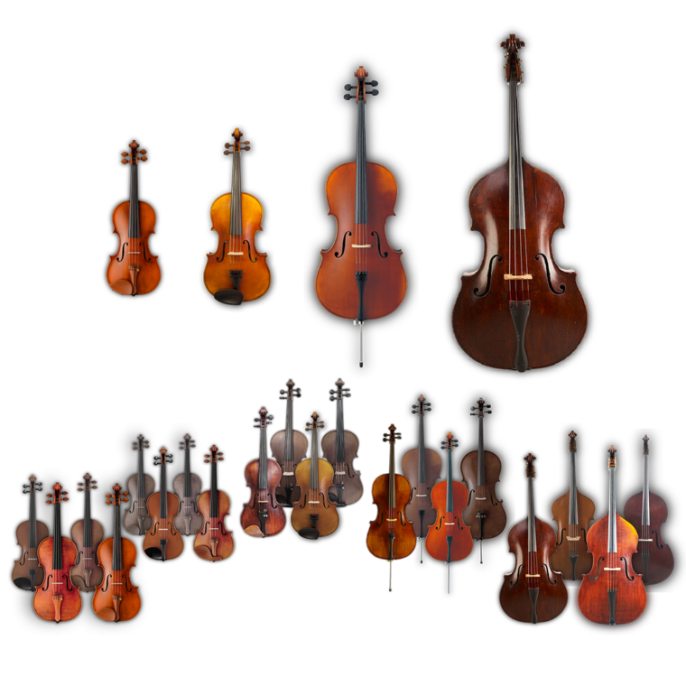 Complete Bundle - Samplemodeling